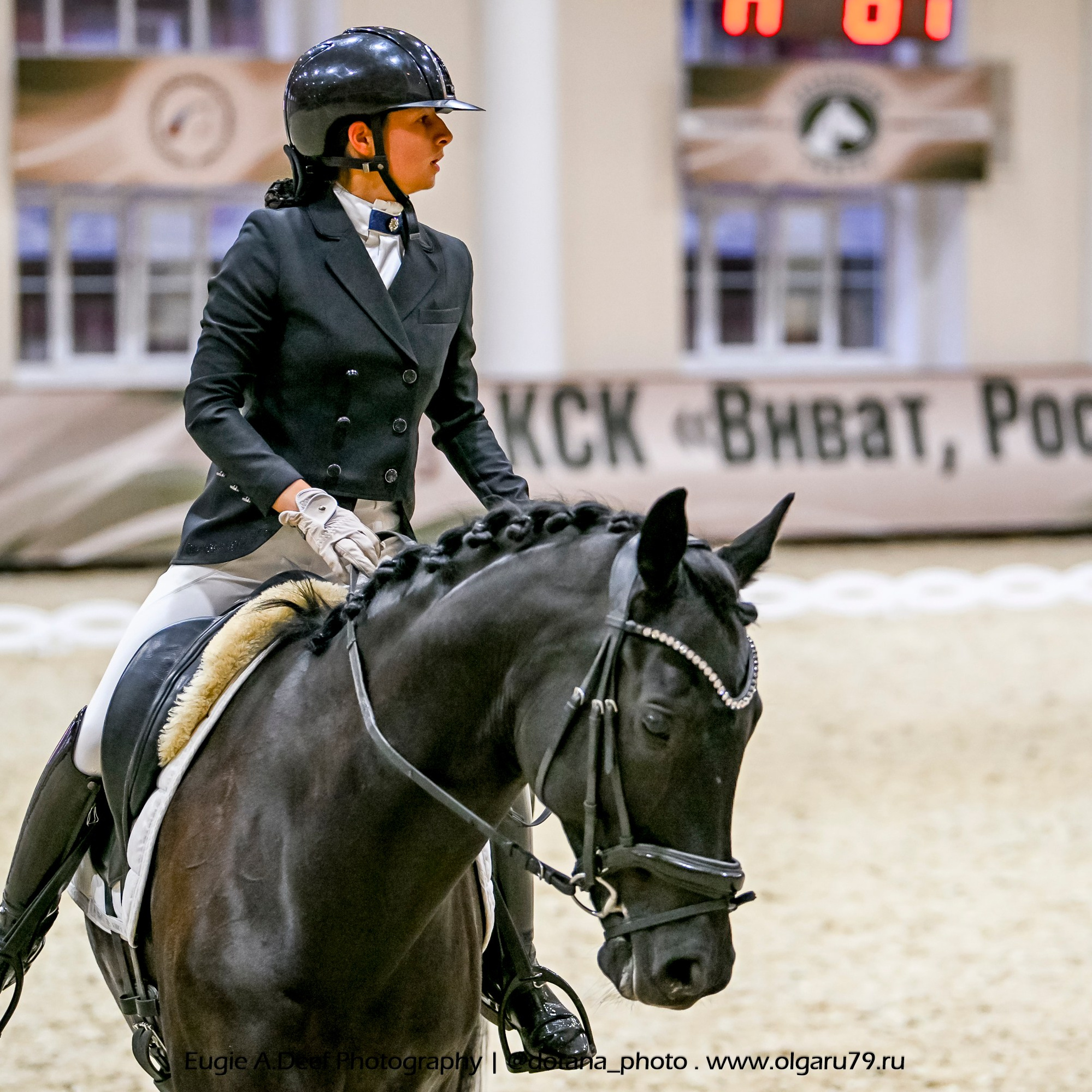 2025.10.30 и 31 — КСК Виват, Россия! (выездка). ТУРНИРНАЯ КОННАЯ ФОТОГРАФИЯ, Руднева Ольга и Евгений Адеев
