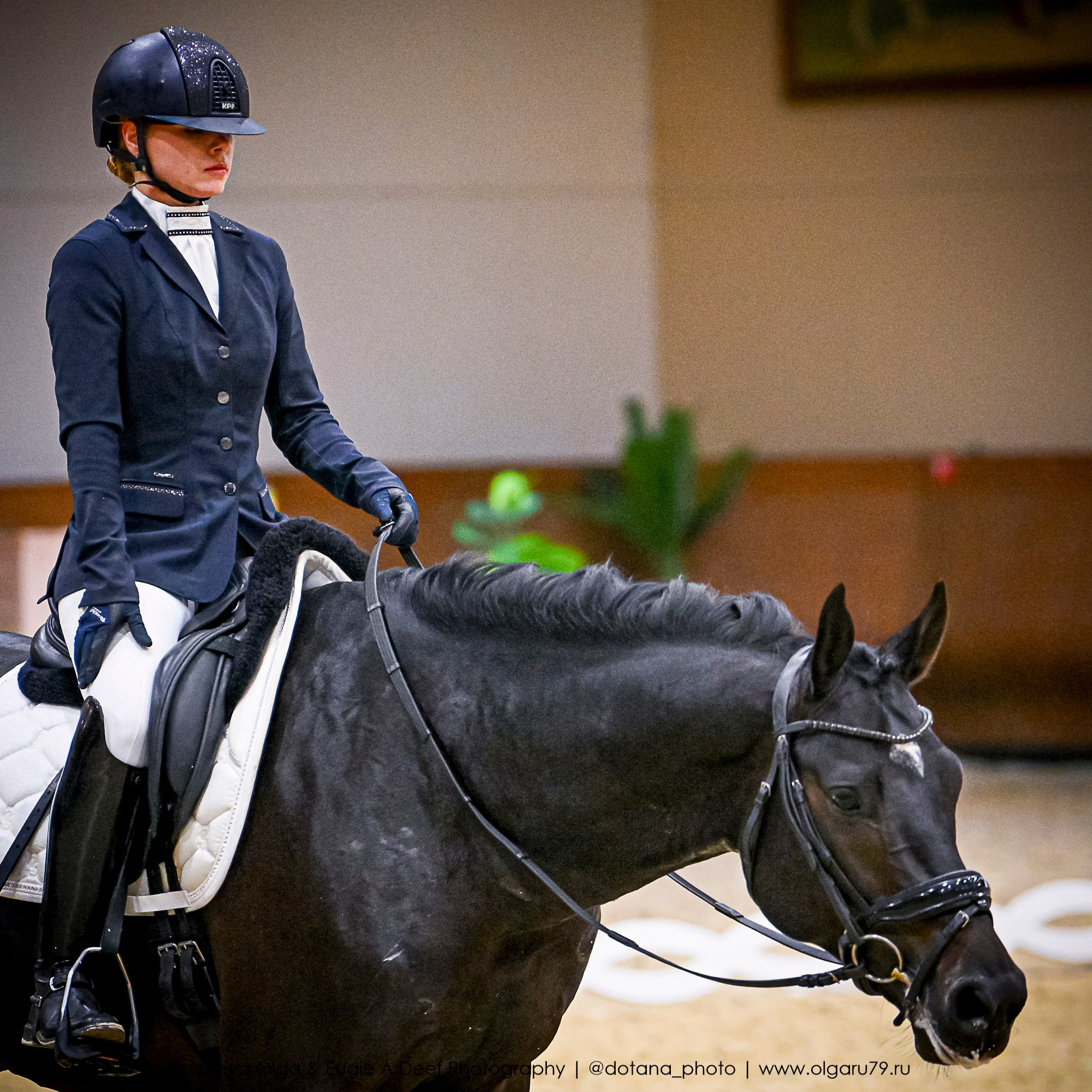 2025.10.30 и 31 — КСК Виват, Россия! (выездка). ТУРНИРНАЯ КОННАЯ ФОТОГРАФИЯ, Руднева Ольга и Евгений Адеев