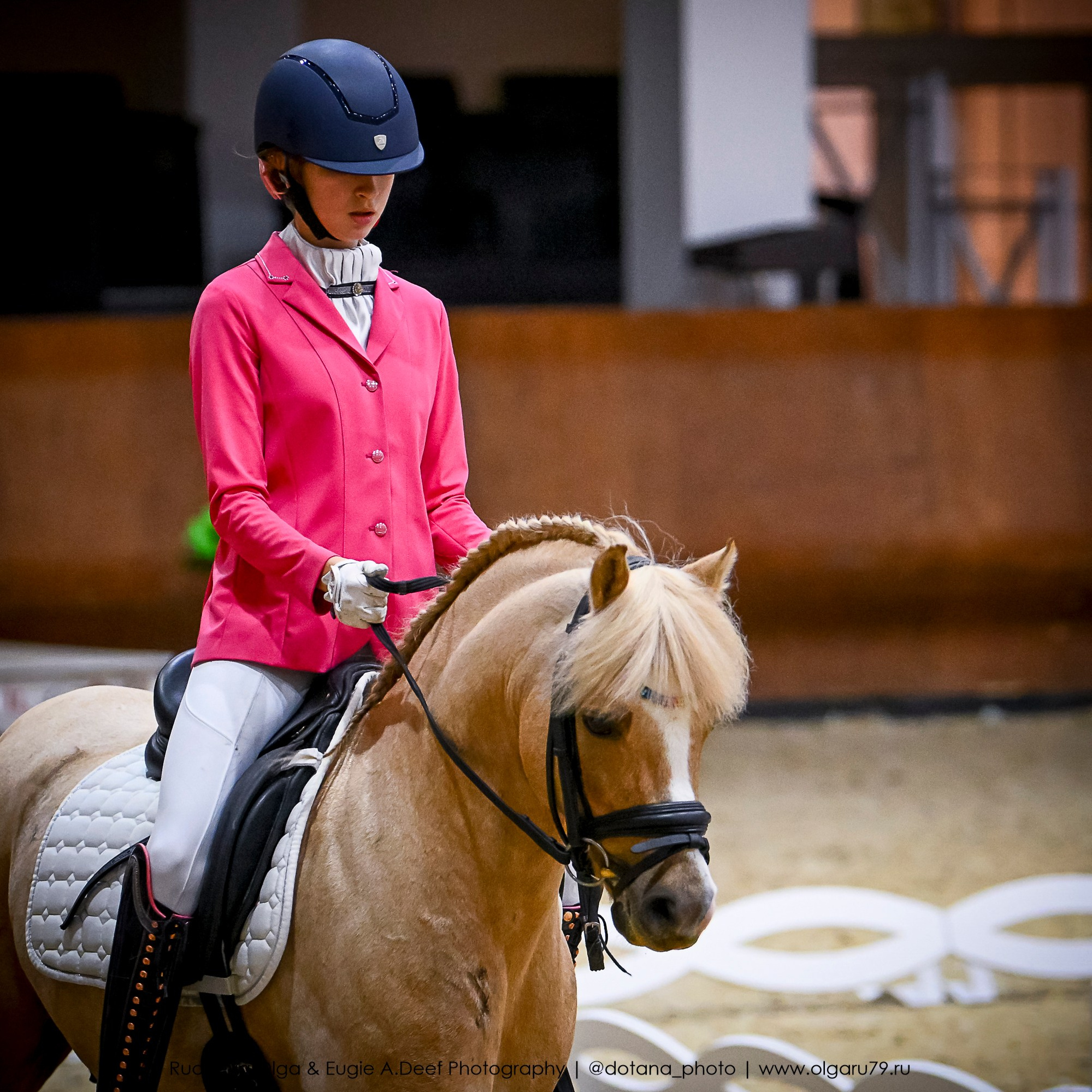 2025.10.30 и 31 — КСК Виват, Россия! (выездка). ТУРНИРНАЯ КОННАЯ ФОТОГРАФИЯ, Руднева Ольга и Евгений Адеев