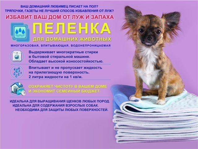 ПЕЛЕНКИ МНОГОРАЗОВЫЕ ДЛЯ СОБАК Дэнстайл. Питомник Йоркширских терьеров Дэнстайл в Санкт-Петербурге заводчик Тих