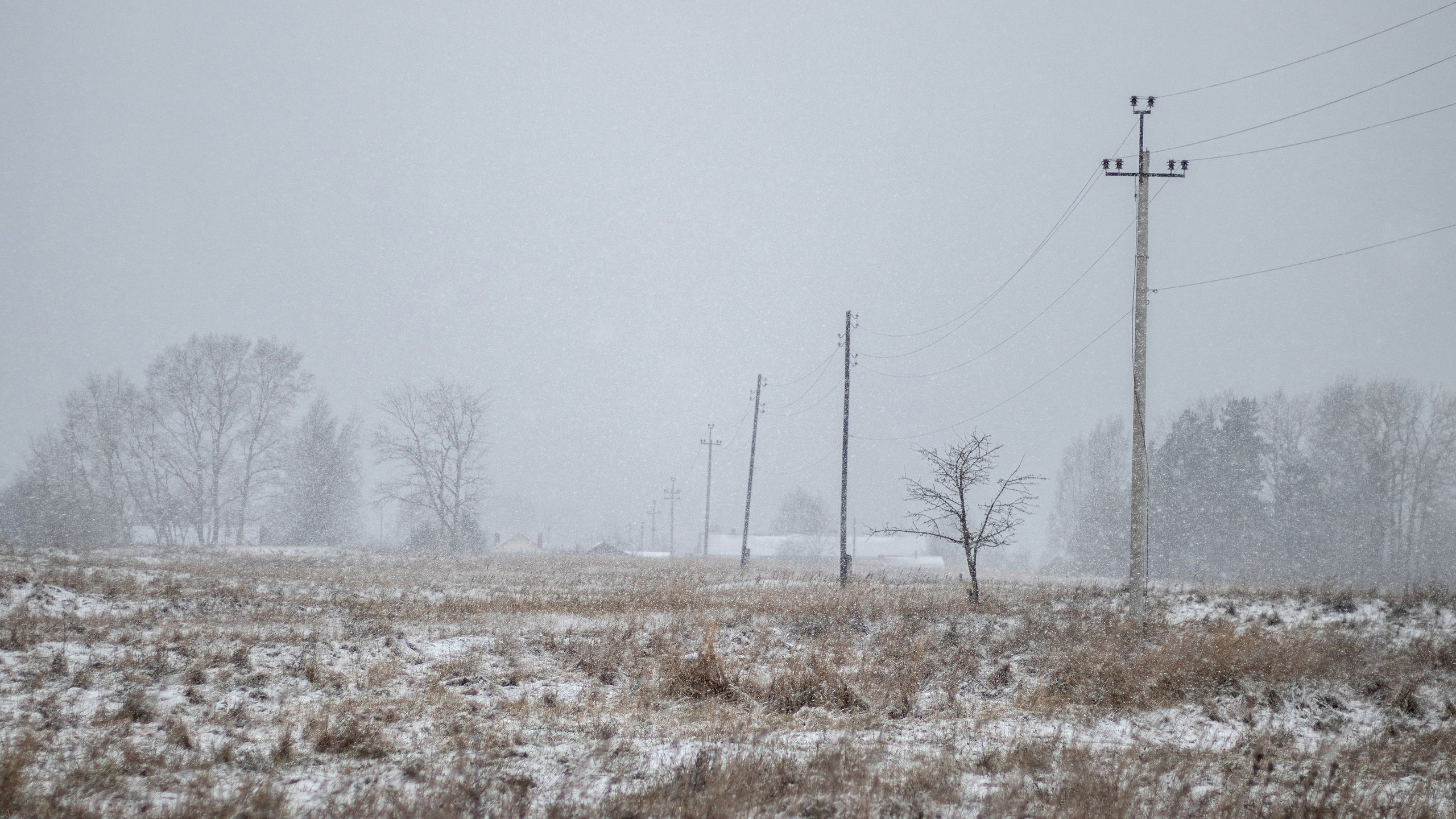 壁纸 – 高清艺术背景，美化您的屏幕