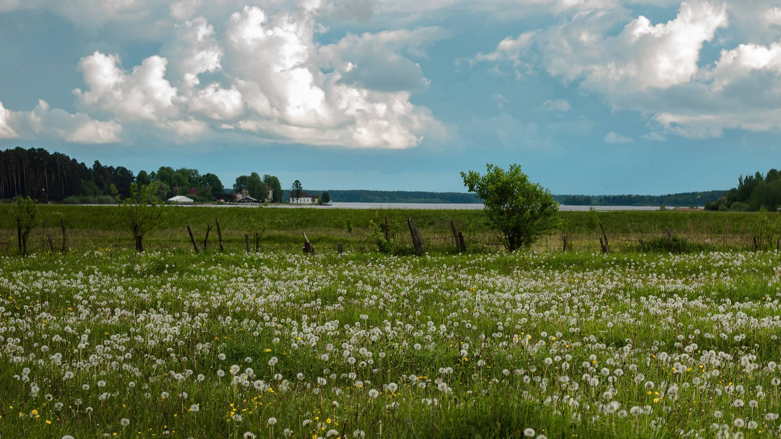 壁纸 – 高清艺术背景，美化您的屏幕