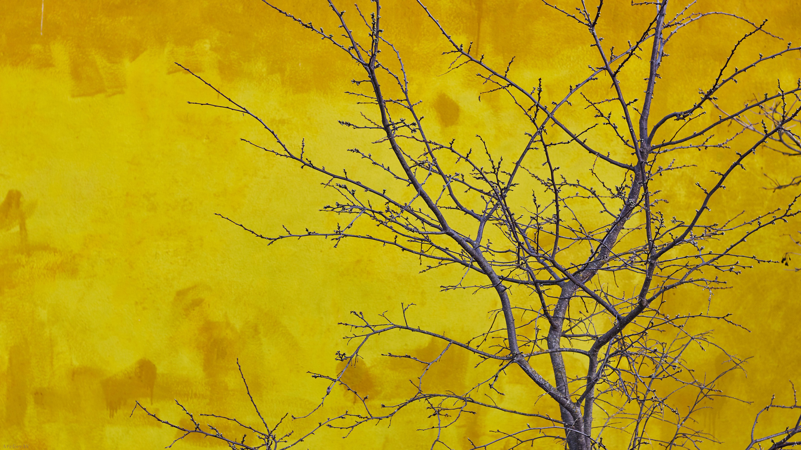 壁纸 – 高清艺术背景，美化您的屏幕