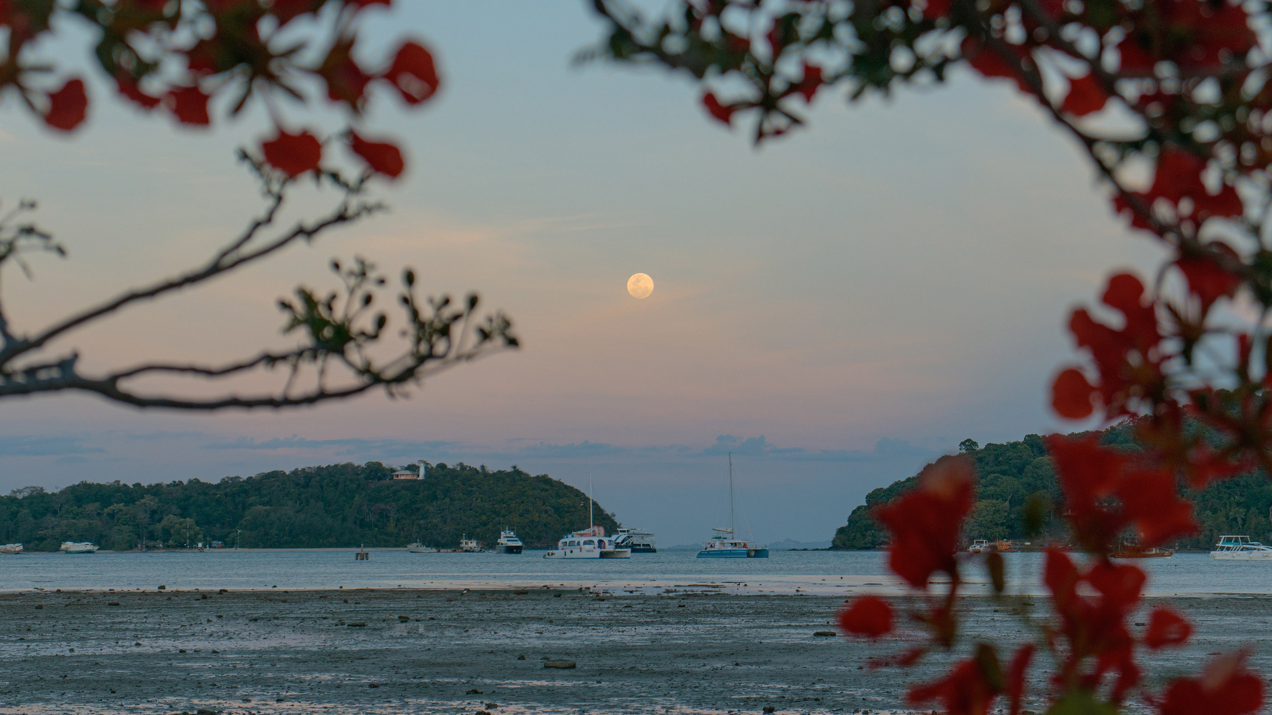 壁纸 – 高清艺术背景，美化您的屏幕