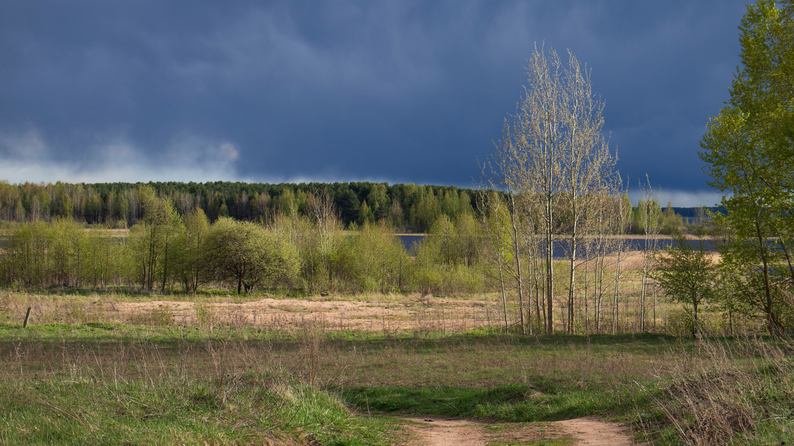 壁纸 – 高清艺术背景，美化您的屏幕