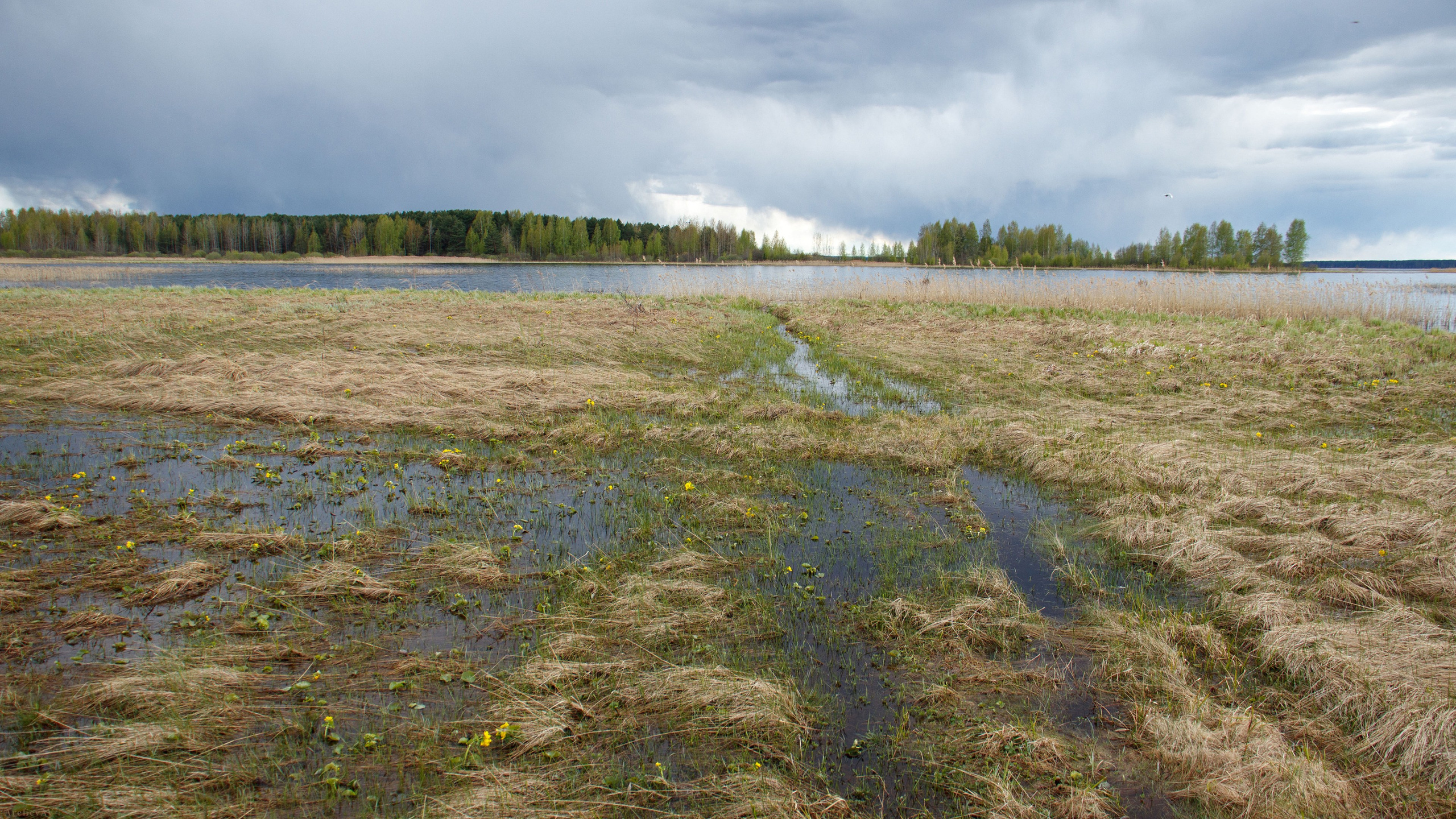 壁纸 – 高清艺术背景，美化您的屏幕