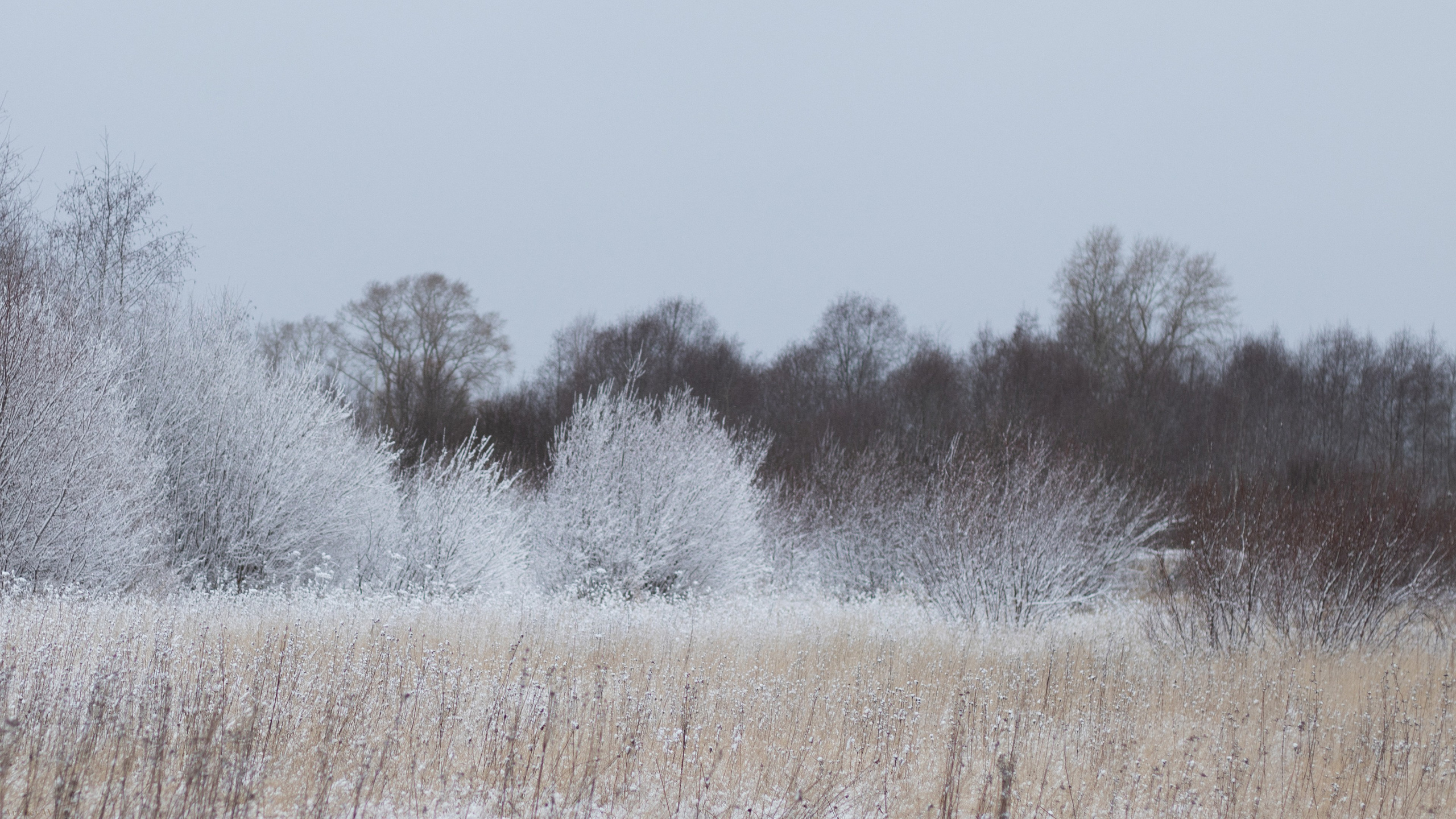 壁纸 – 高清艺术背景，美化您的屏幕