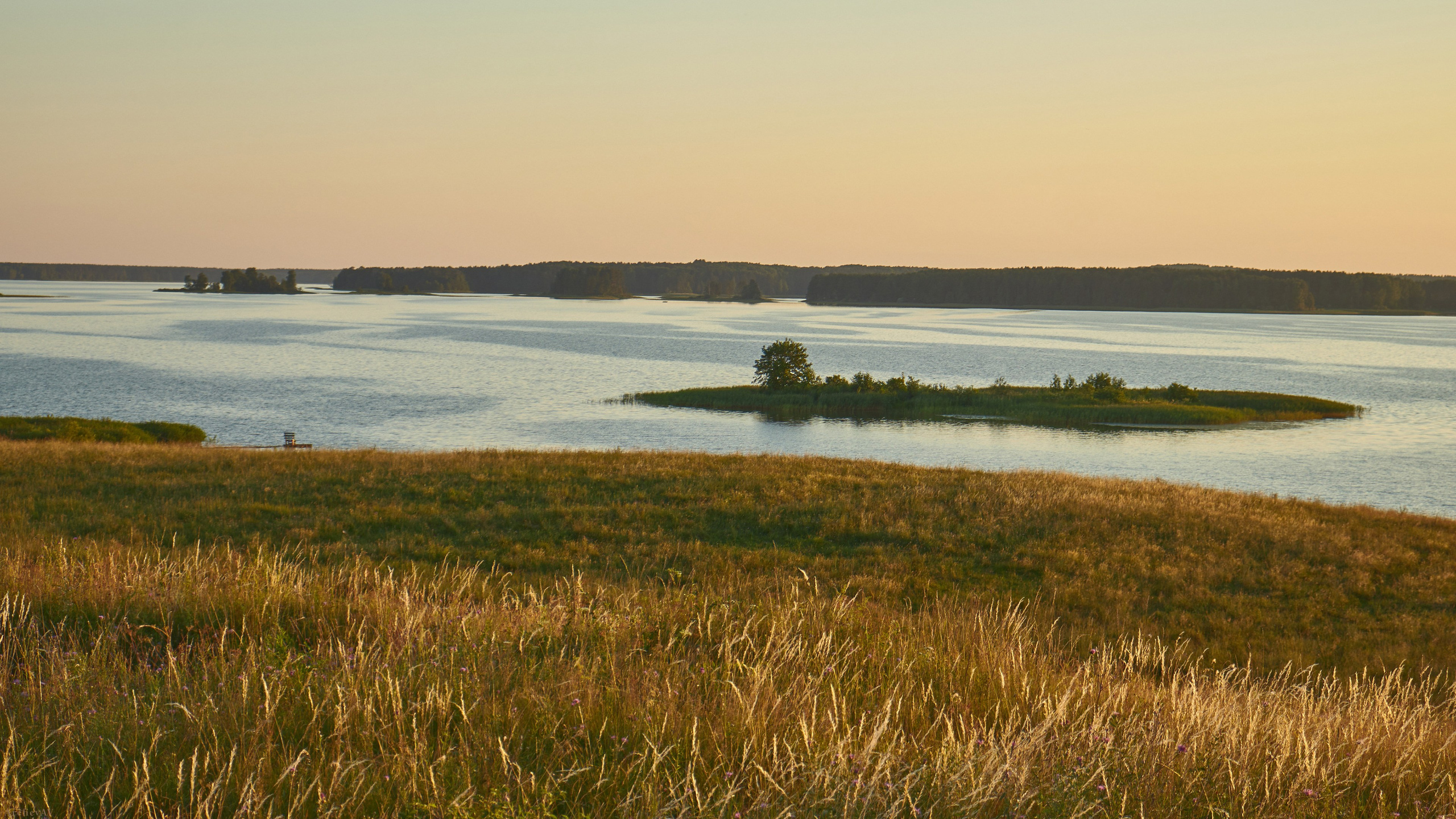 壁纸 – 高清艺术背景，美化您的屏幕