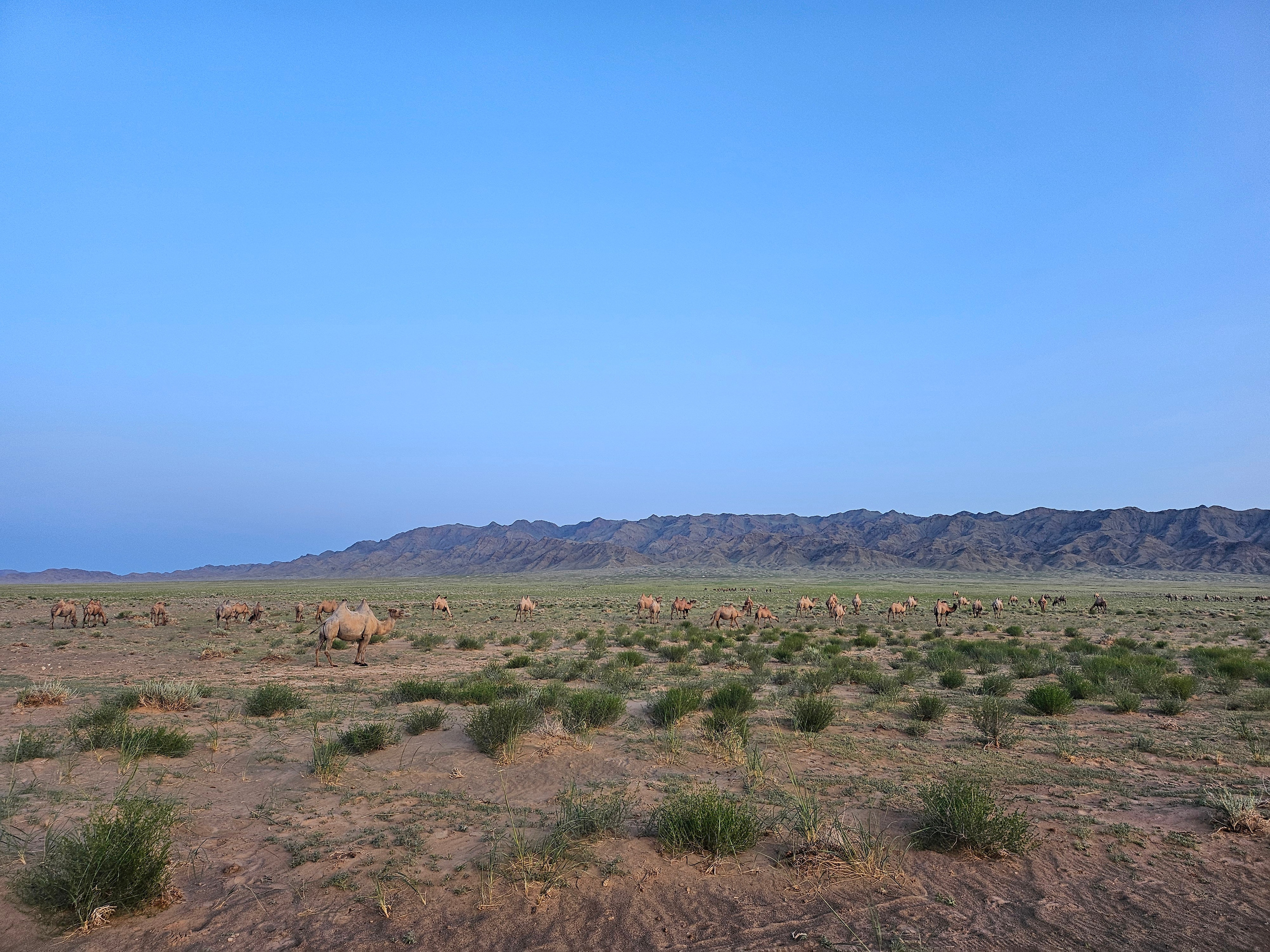 Экспедиция в Монголию (Гоби). Семоха Валерий. Фотограф