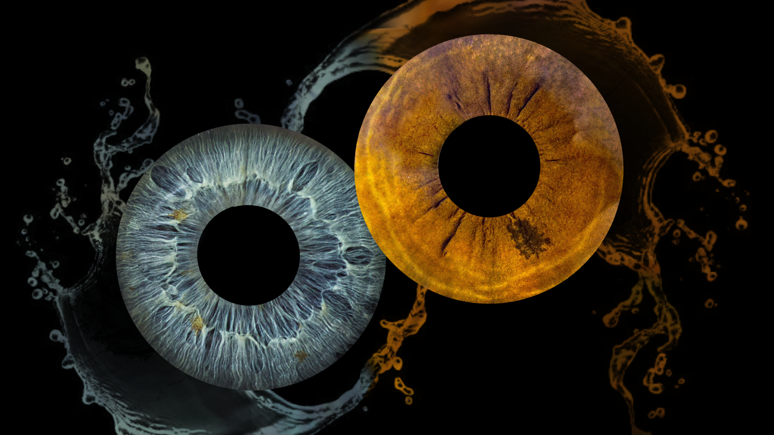 Товары и услуги. ShowLab