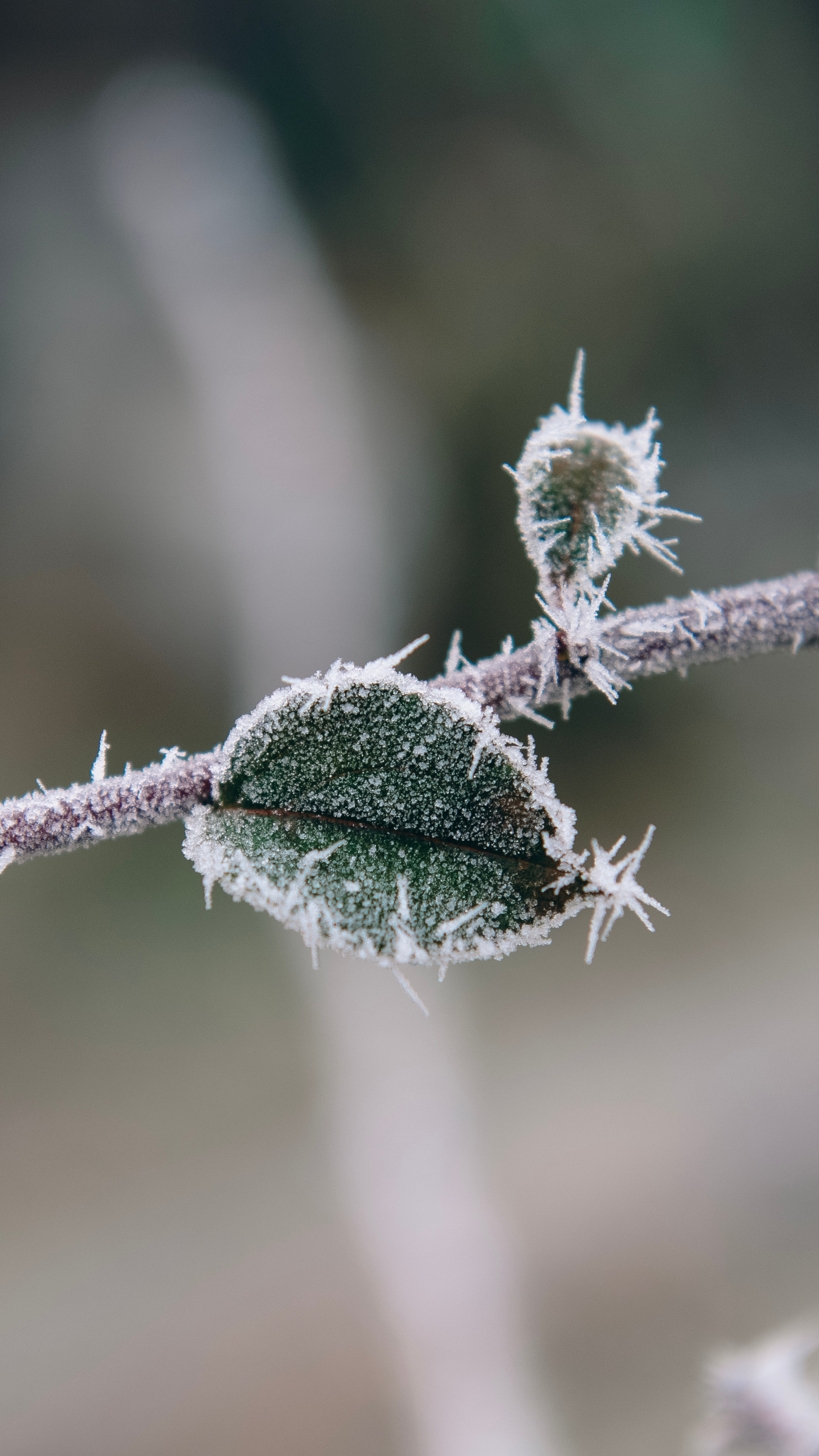 Серебро. Профессиональная High-End Ретушь | Ретушер и предметный фотограф Алла Белова
