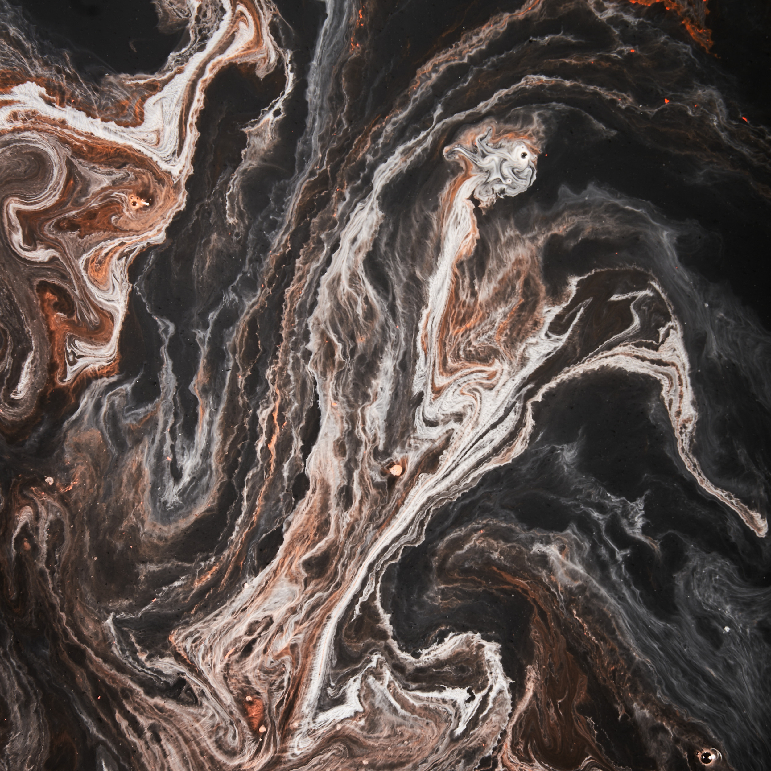 Услуги фотографа в Смоленске. Фотограф на свадьбу