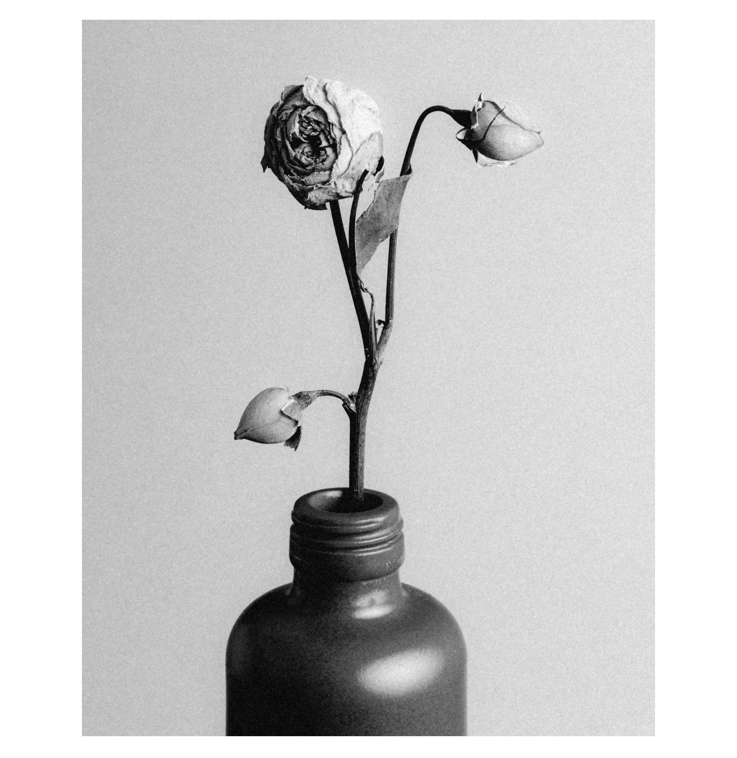 Вадим Чецкий|Портретный фотограф