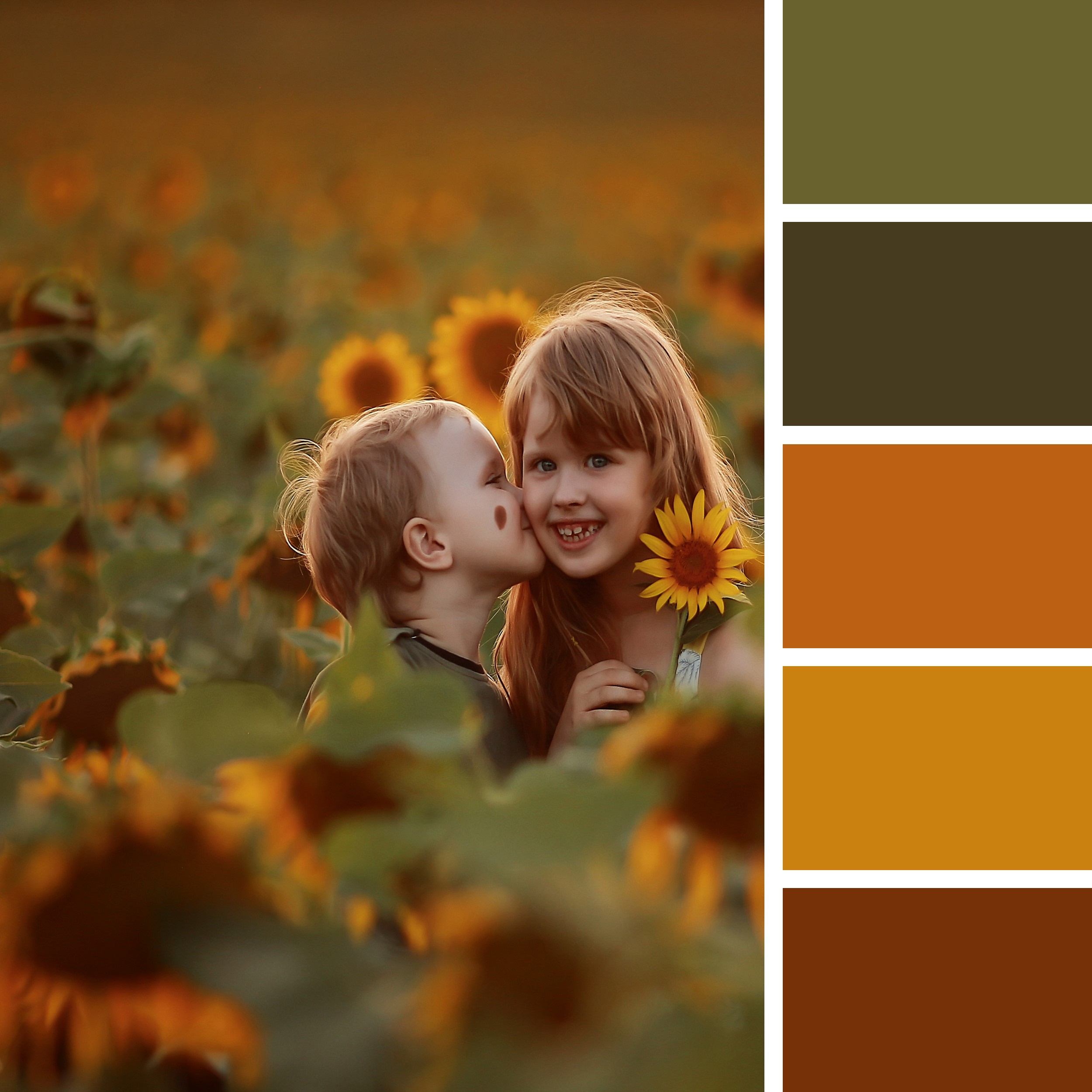 Локации и их цветовые гармонии. Степанова Анна.Детский и семейный фотограф Крым