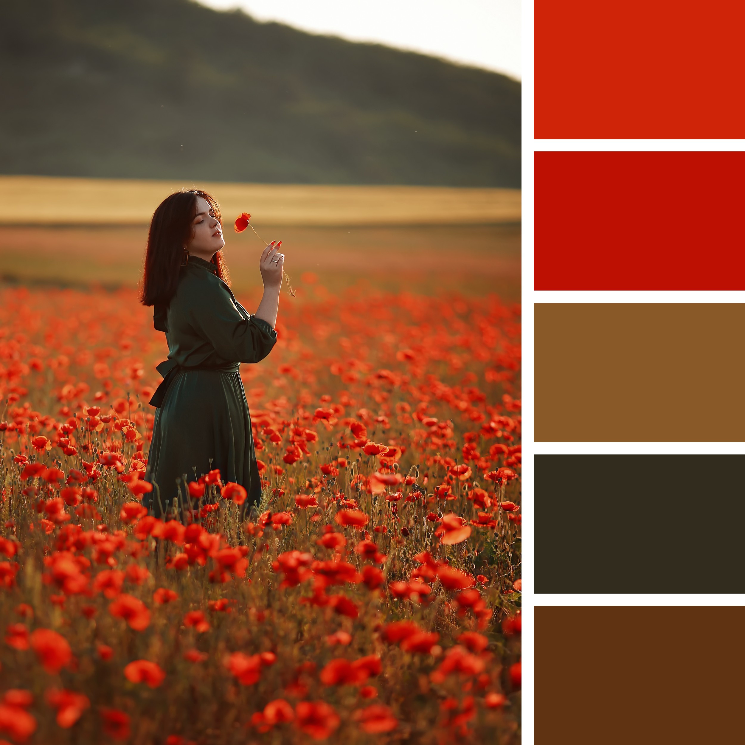 Локации и их цветовые гармонии. Степанова Анна.Детский и семейный фотограф Крым