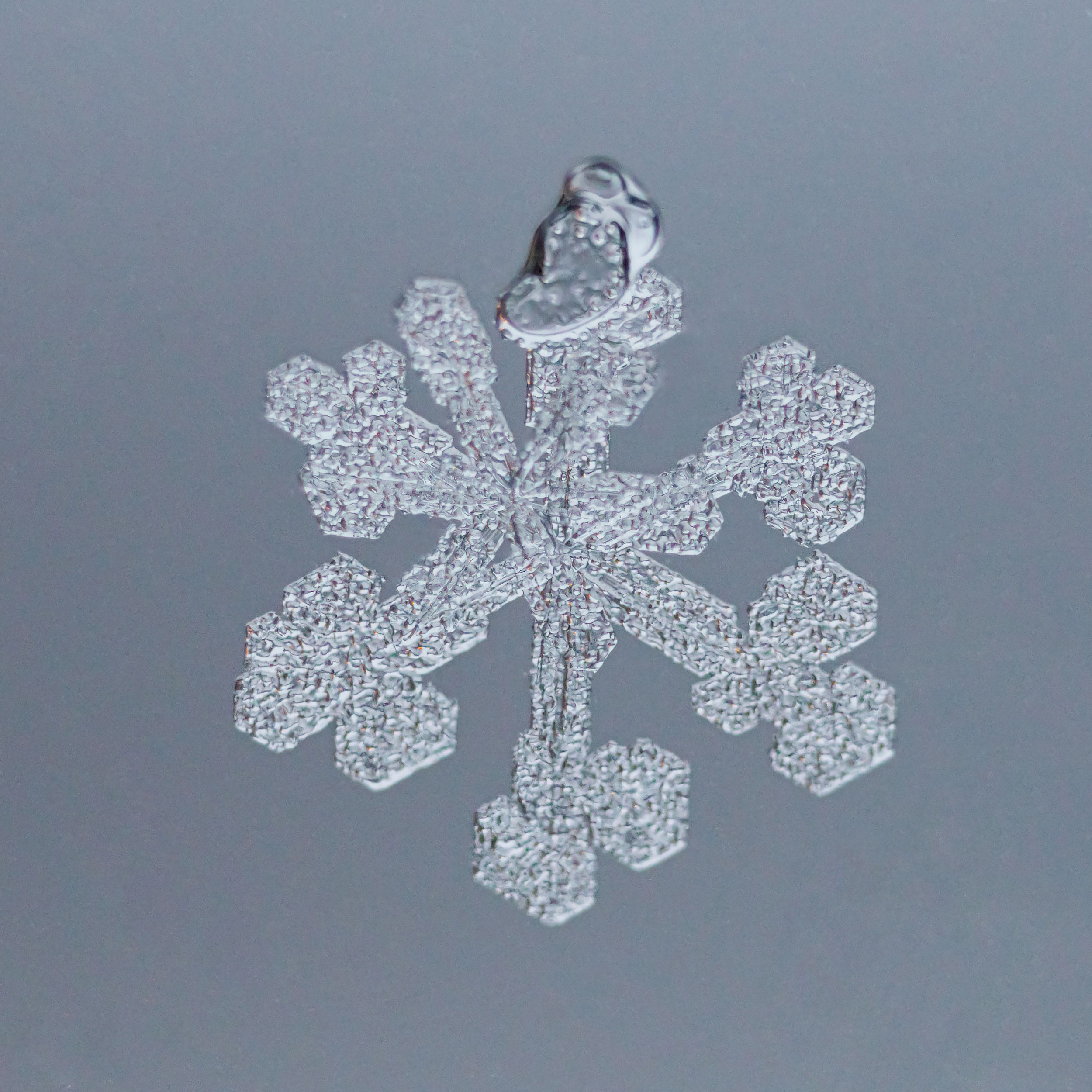 Снежинки прилипают к окну и «напрашиваются» на фотосессию…. Фотограф Евгений Стельмах в Молодечно и Минске