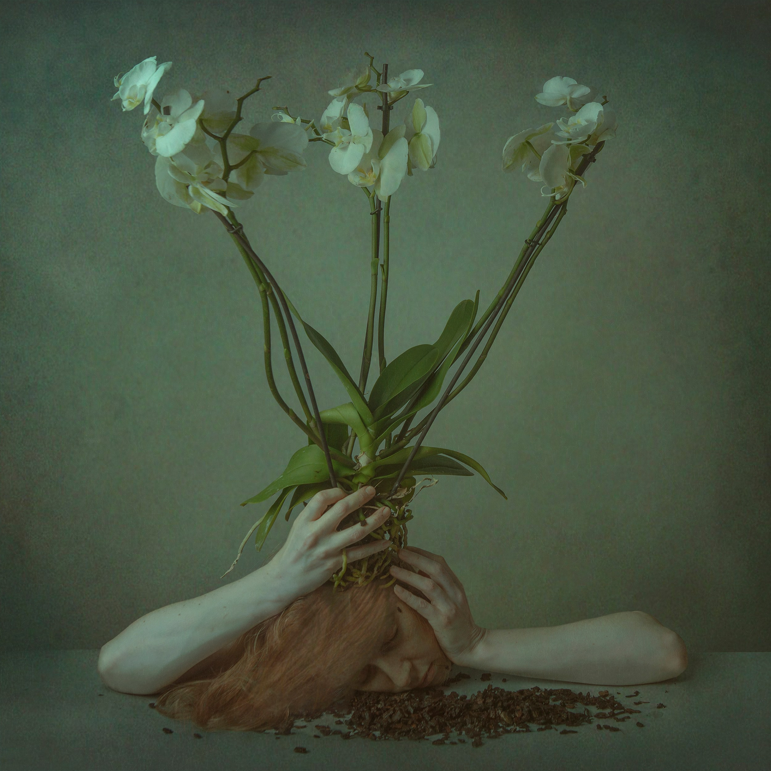 Работы приобрести. Фотохудожник АРТ-фотограф Ира Будниченко Москва