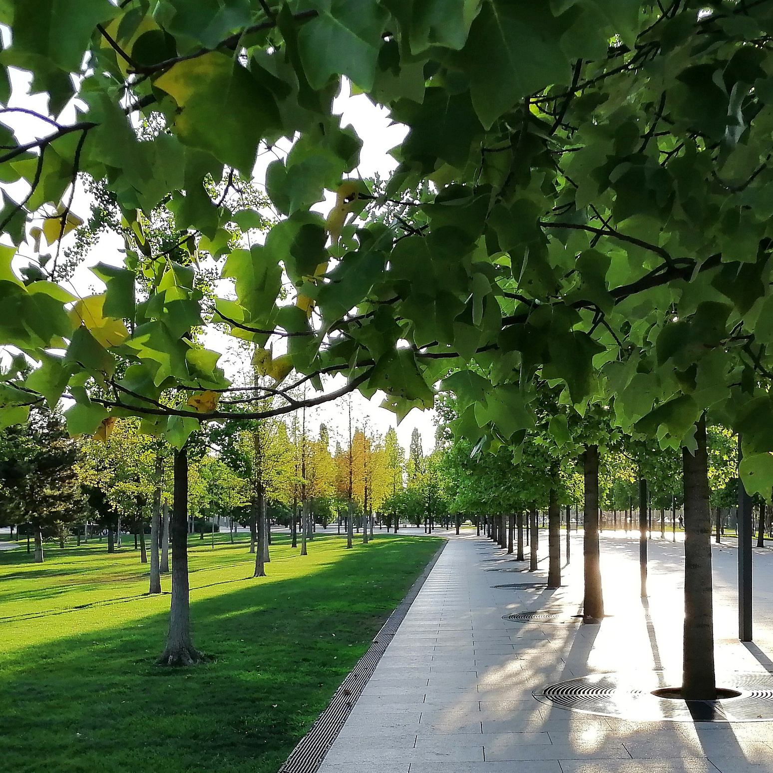 Фотограф Славянск на Кубани