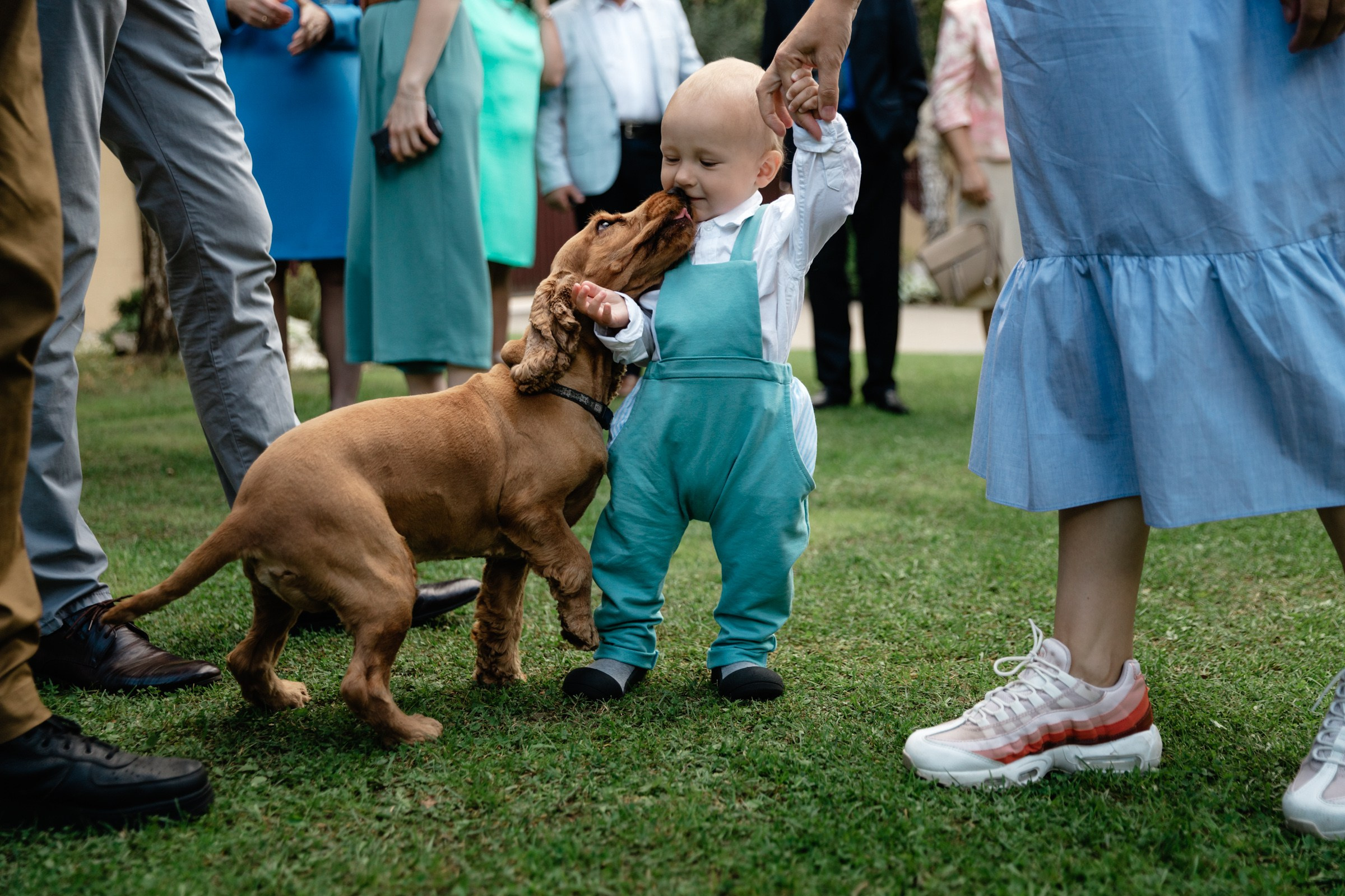 Сравнение постановочной и реальной свадебной съёмки