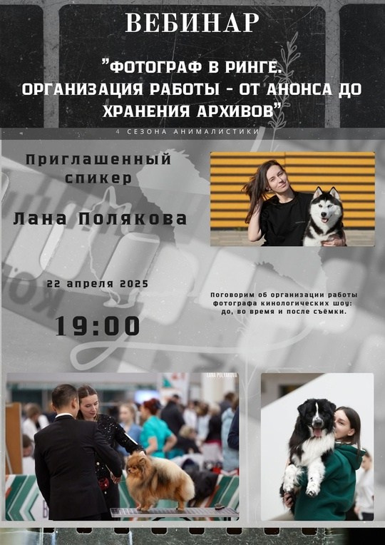 Вебинары. Обучение анималистической фотографии