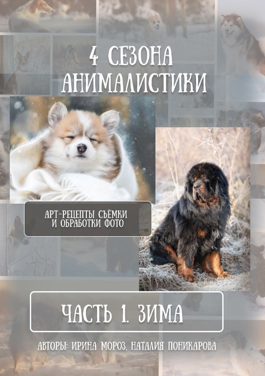 Гайды. Обучение анималистической фотографии