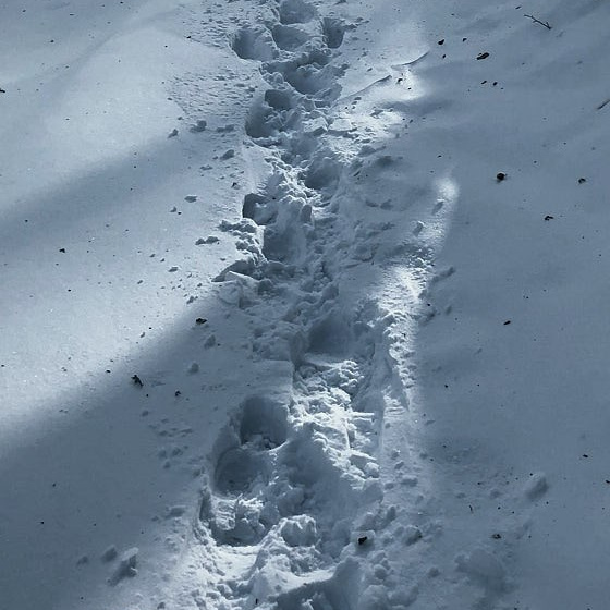 Услуги. Портретный и свадебный фотограф в Крыму Симферополь Нечипоренко Сергей