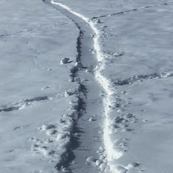 Услуги. Портретный и свадебный фотограф в Крыму Симферополь Нечипоренко Сергей