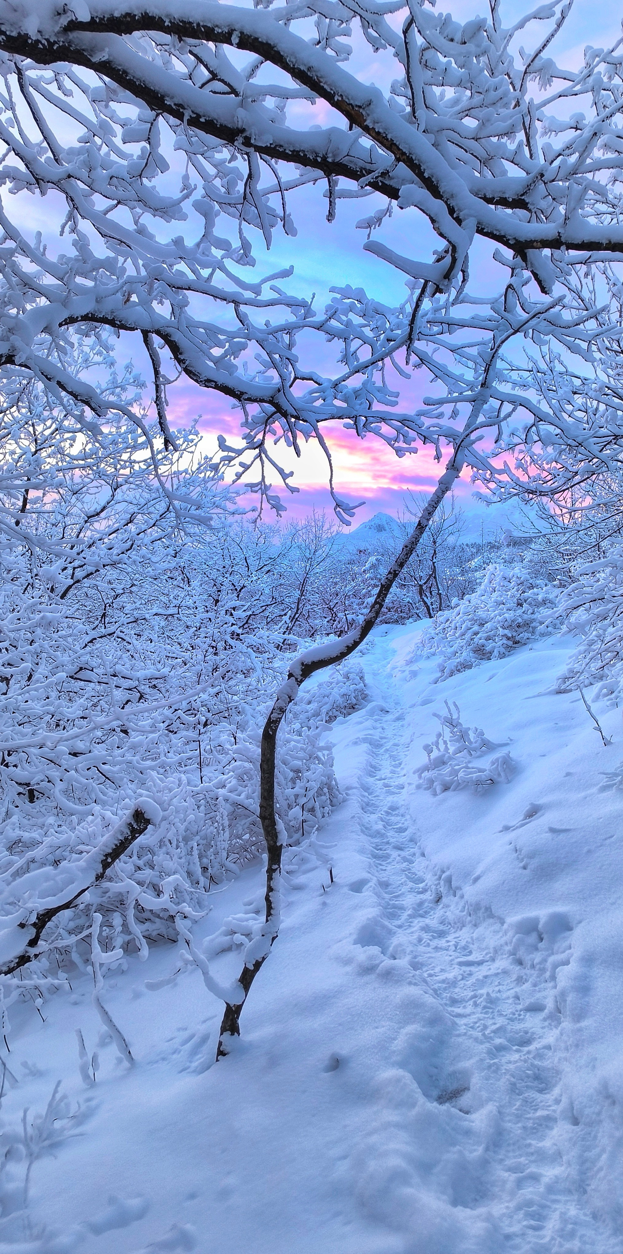 Снегопад в Пятигорске. Зимнее КМВ. Красота Кавказа в каждом кадре. Фотосайт Андрея Прокопенко