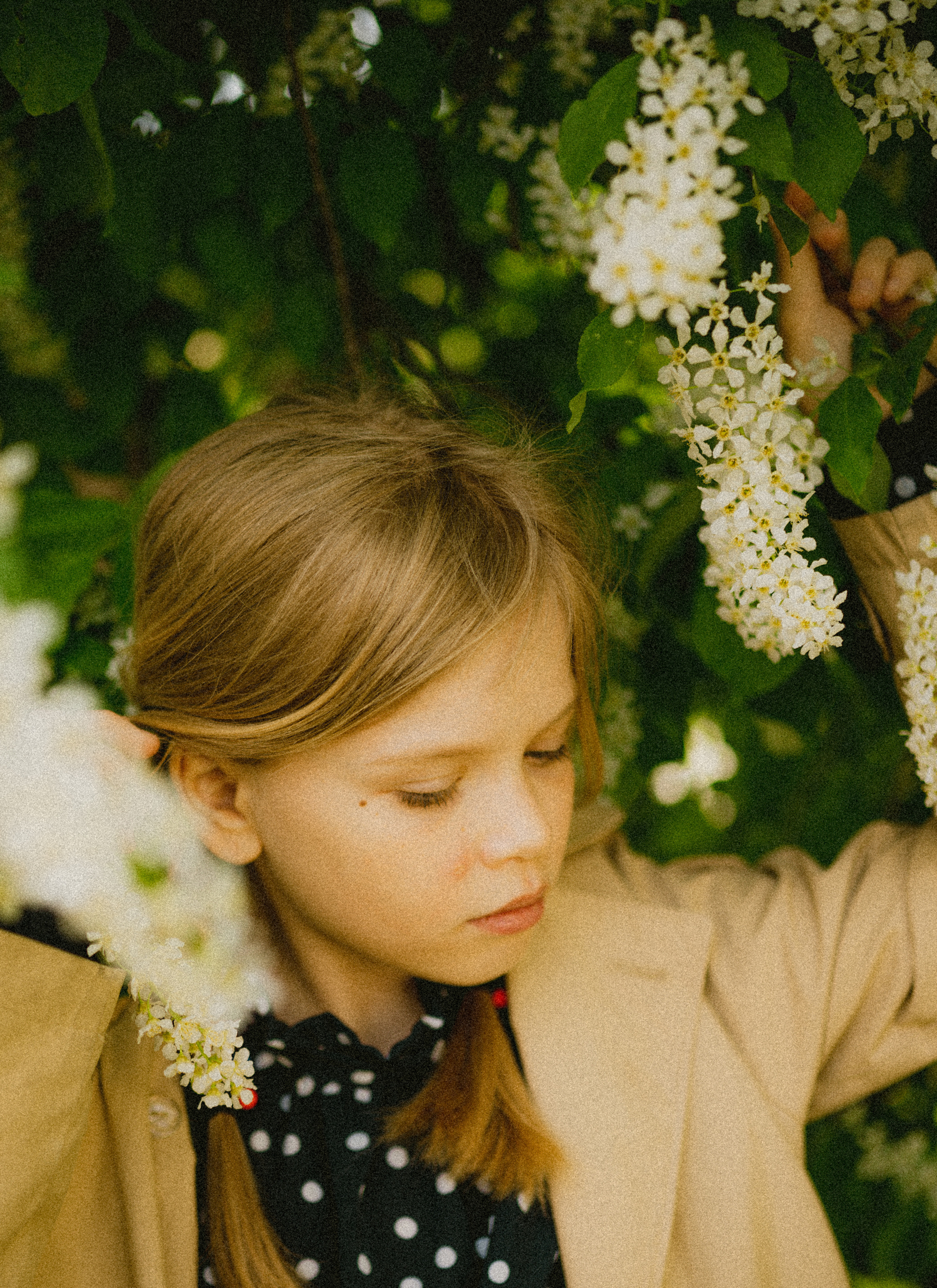 Polaroid preset's. Семейный Фотограф Новосибирск, Школьные фотосессии Новосибирск, школьный фотограф Новосибирск, выпускные альбомы