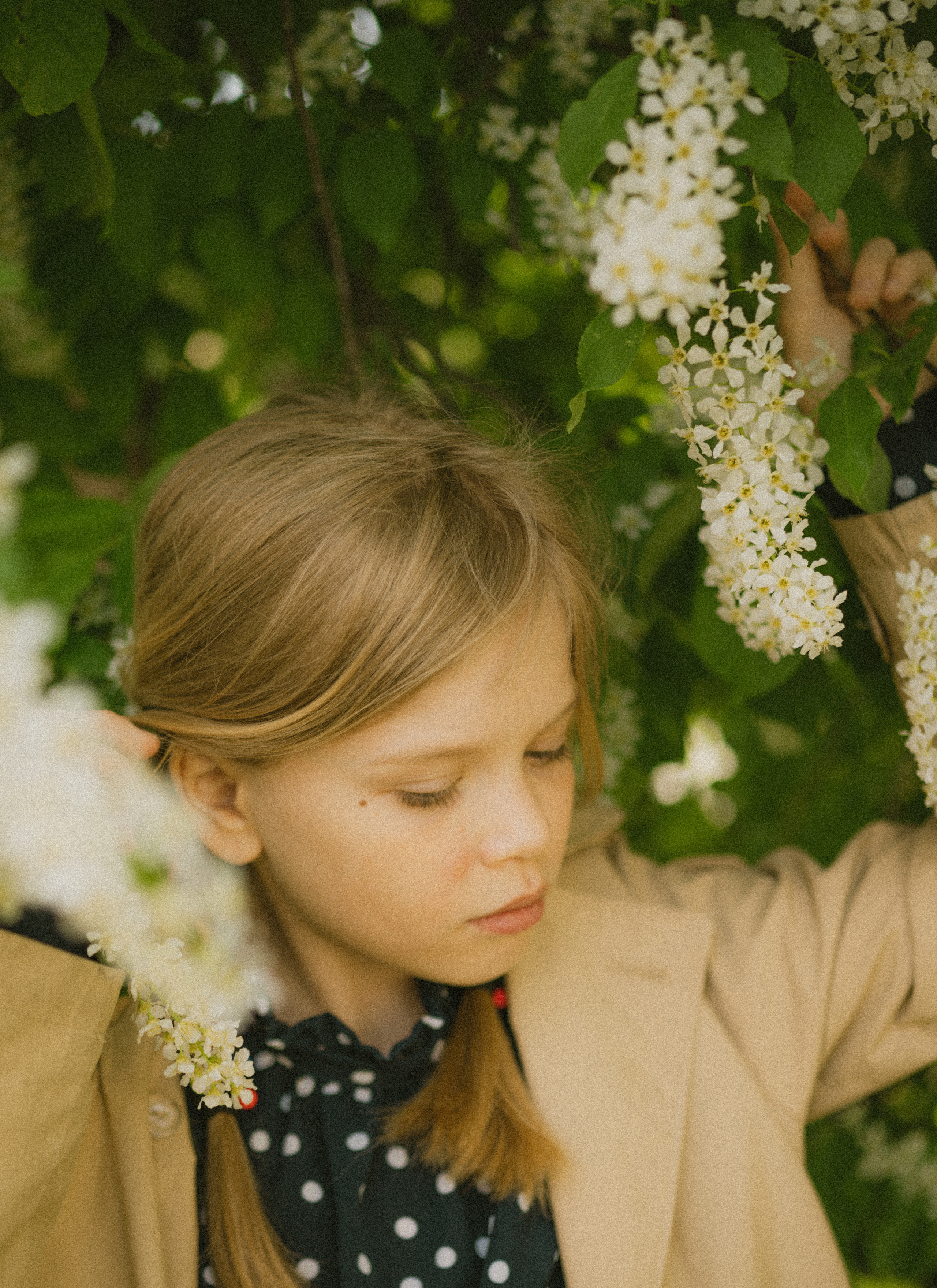 Polaroid preset's. Семейный Фотограф Новосибирск, Школьные фотосессии Новосибирск, школьный фотограф Новосибирск, выпускные альбомы