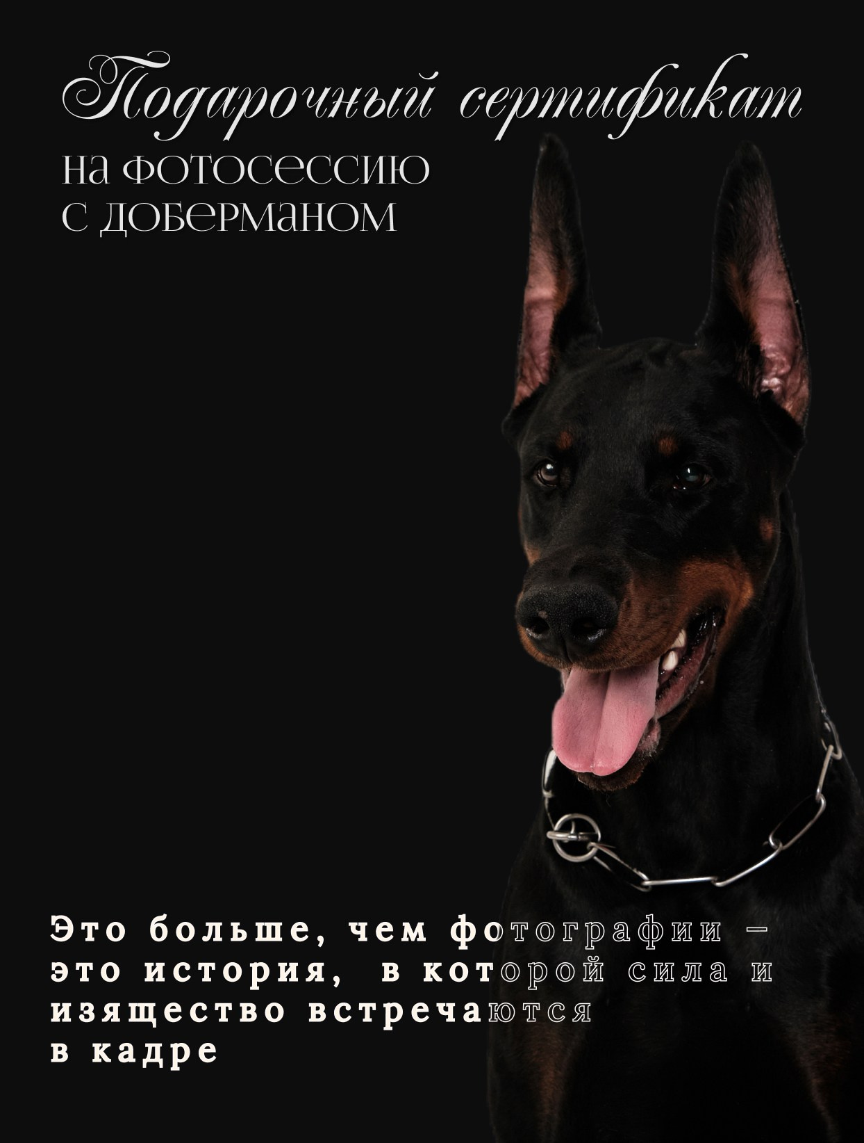 Подарочный сертификат на фотосессию — подарок с эмоцией, идея подарка. Портретный фотограф в Москве — Виктория Колышева