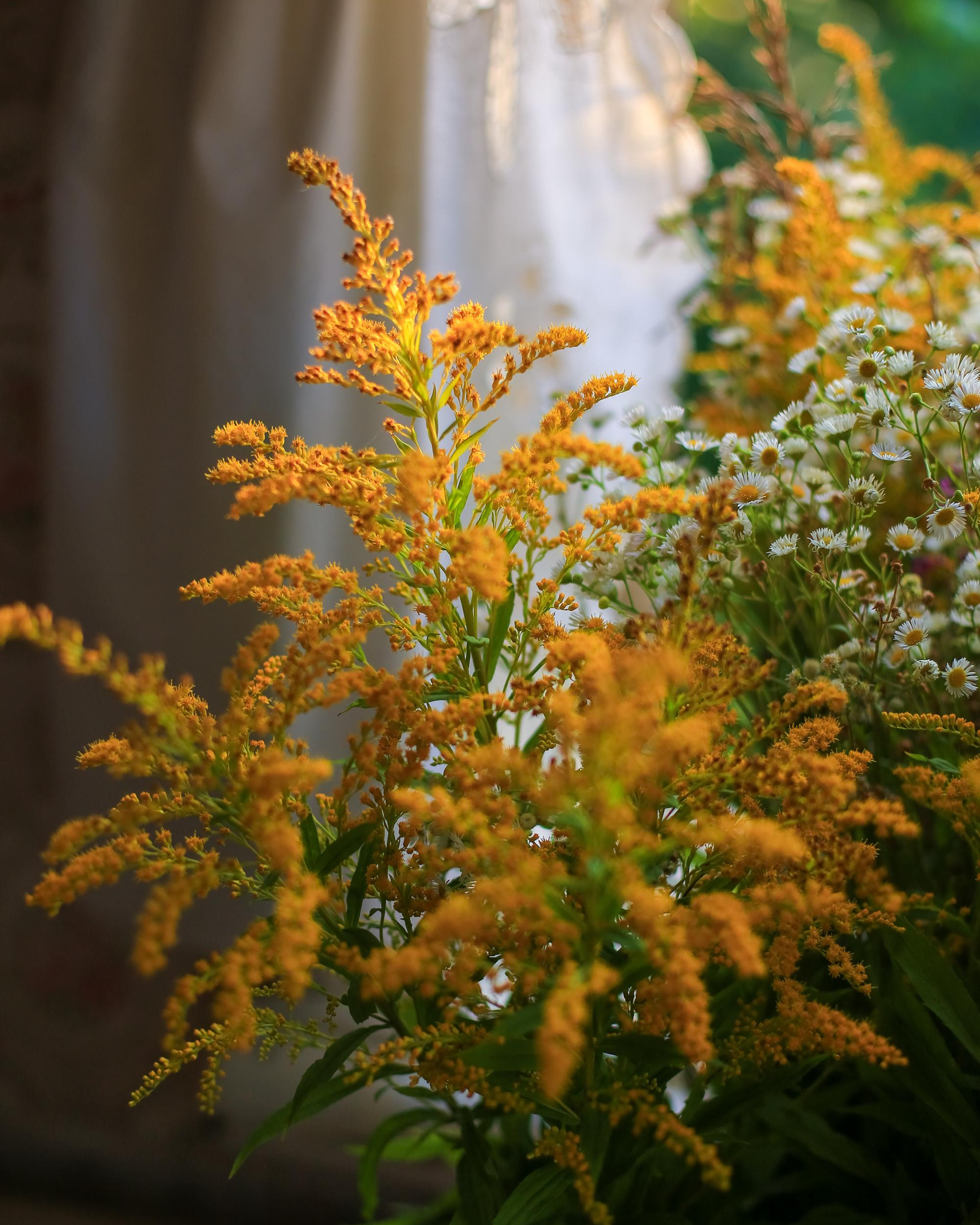 Семейная фотосессия, фотосессия в деревне, деревенский дом, чаепитие. Профессиональный фотограф, фотохудожник, видеограф из Москвы