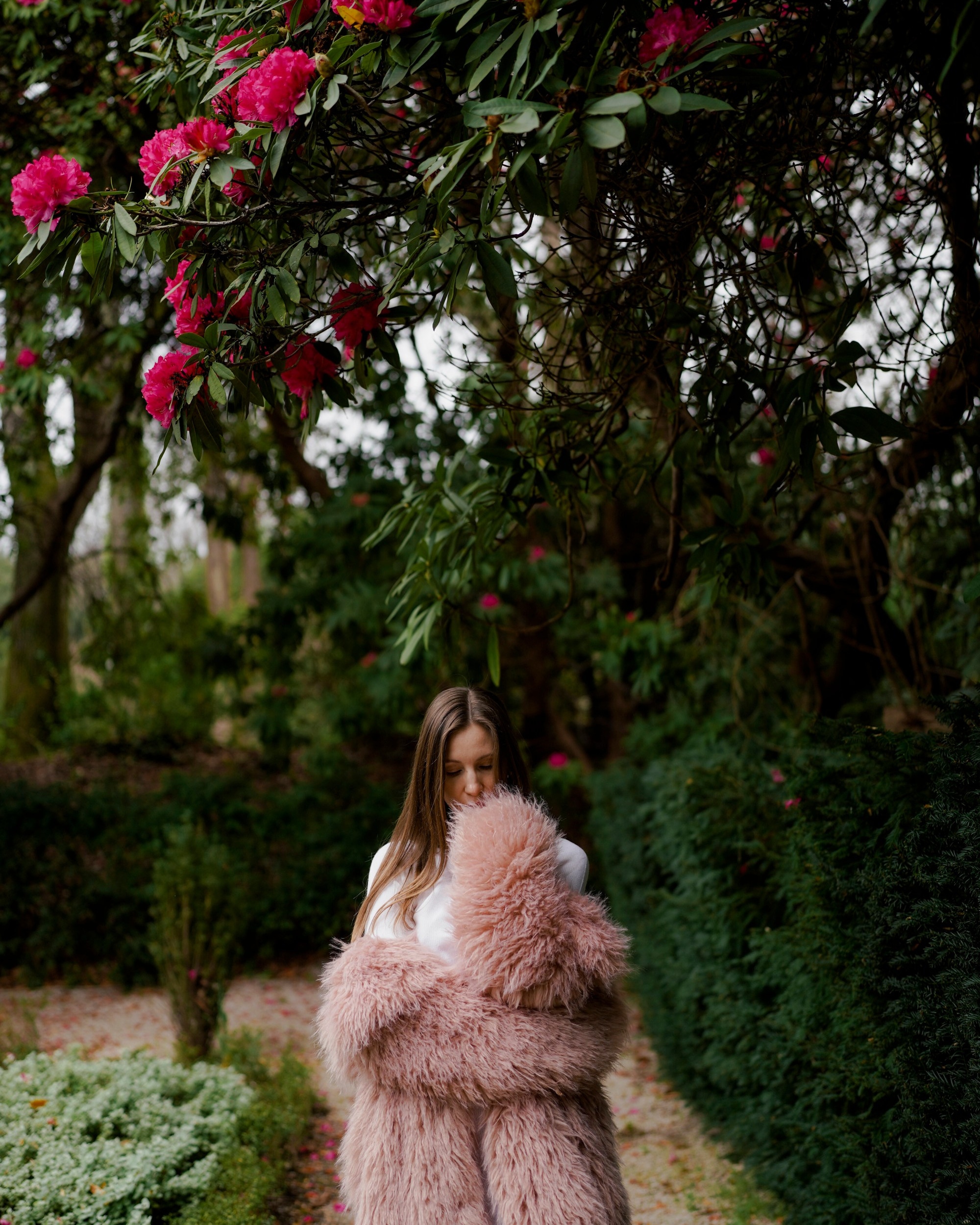 EDUCATION. Constan photography