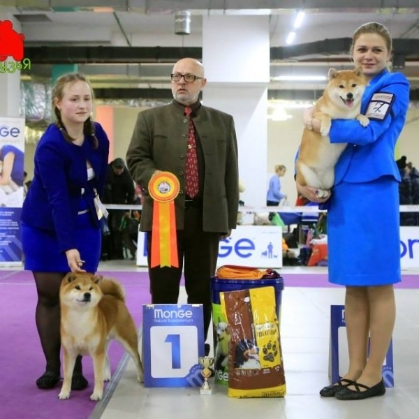 Dog show 2017. SHIOMARU Питомник сиба и акита-ину