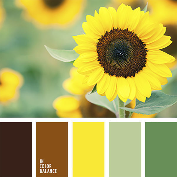 Локации и их цветовые гармонии. Степанова Анна.Детский и семейный фотограф Крым