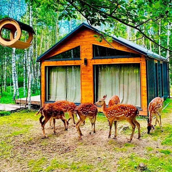 Оленья ферма Бэмби Лэнд — смотреть в каталоге