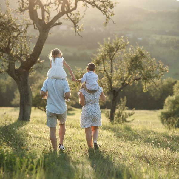 БыстроДом — капитальный дом за 7 дней!