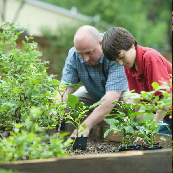 БыстроДом — капитальный дом за 7 дней!