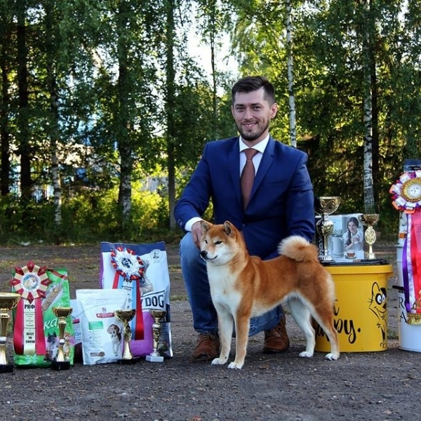 Dog show 2017. SHIOMARU Питомник сиба и акита-ину