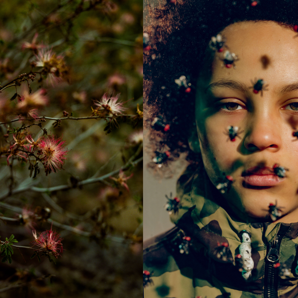 КЛЮЧ ФОТОПРОЕКТЫ