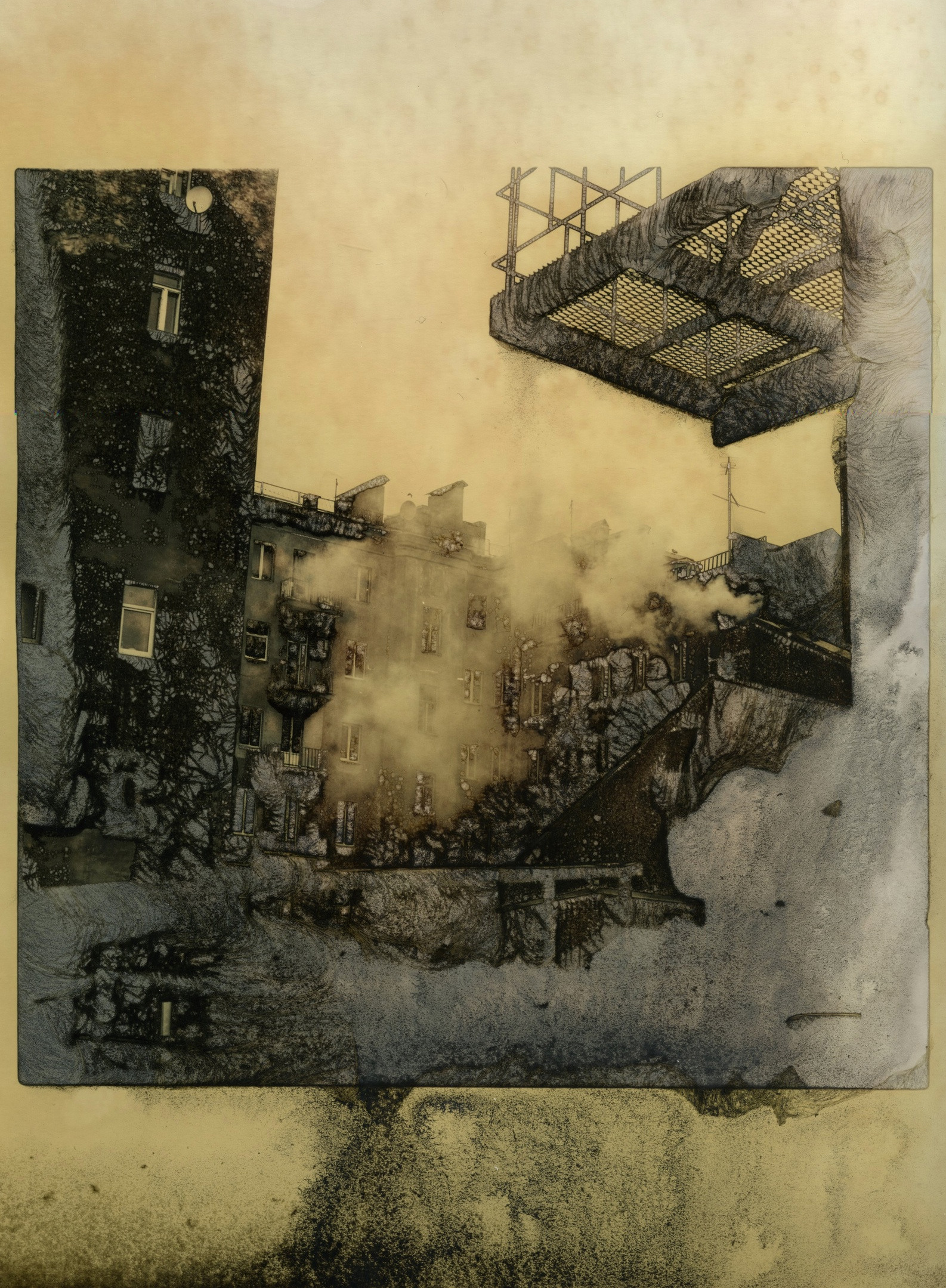 © Дима Белоусов