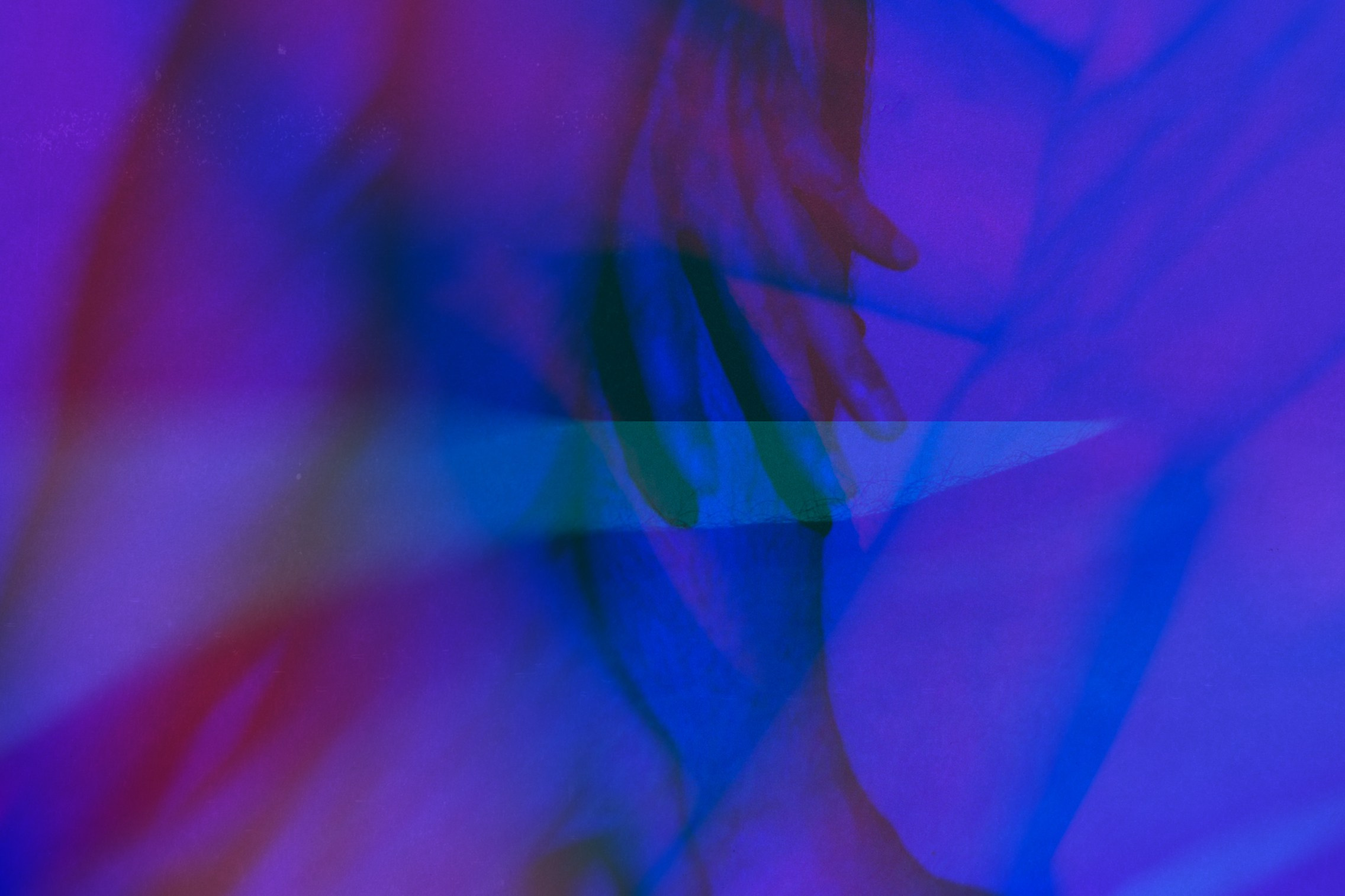 Filling. Vasil Titov