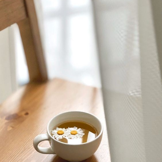 Контакты. Семейный и репортажный фотограф в Череповце Оля Ланец