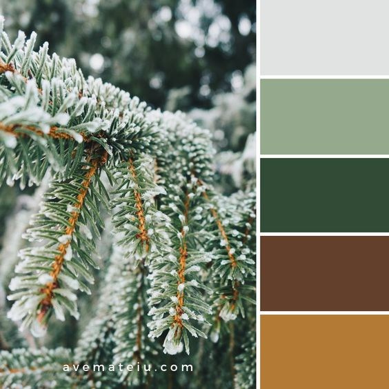 Рекомендации по образам. Фотограф в Санкт-Петербурге, Анна Скворцова