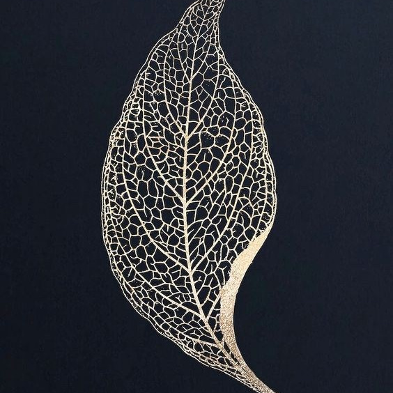 Игра «Лила». Фотограф, психолог в Москве, Жуковском, Раменском Галина Майлер