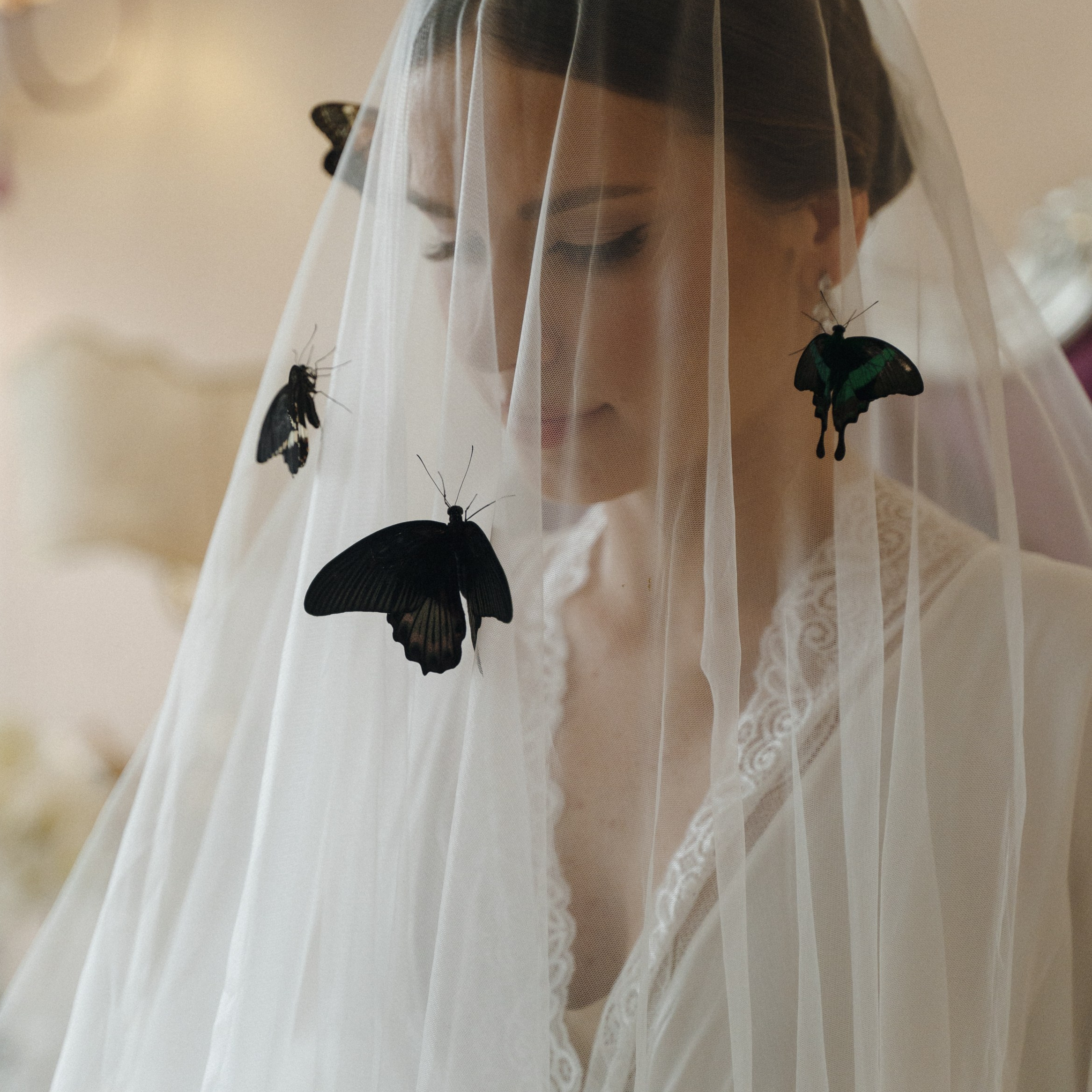 Свадебные пакеты. Свадебный фотограф Москва