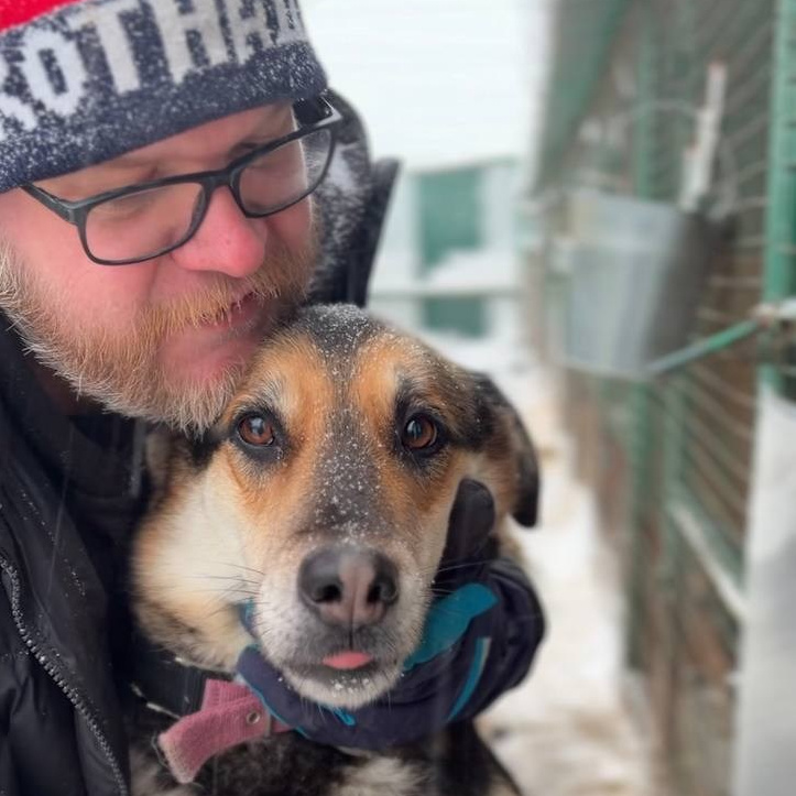 О нас. Забери домой друга