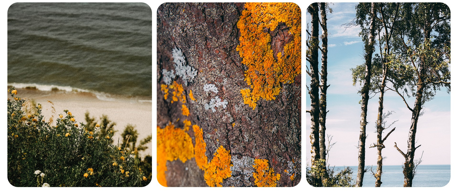 Калининград 1. Фотограф из Москвы — DASHA NOVA | Авторская фотография в разных жанрах