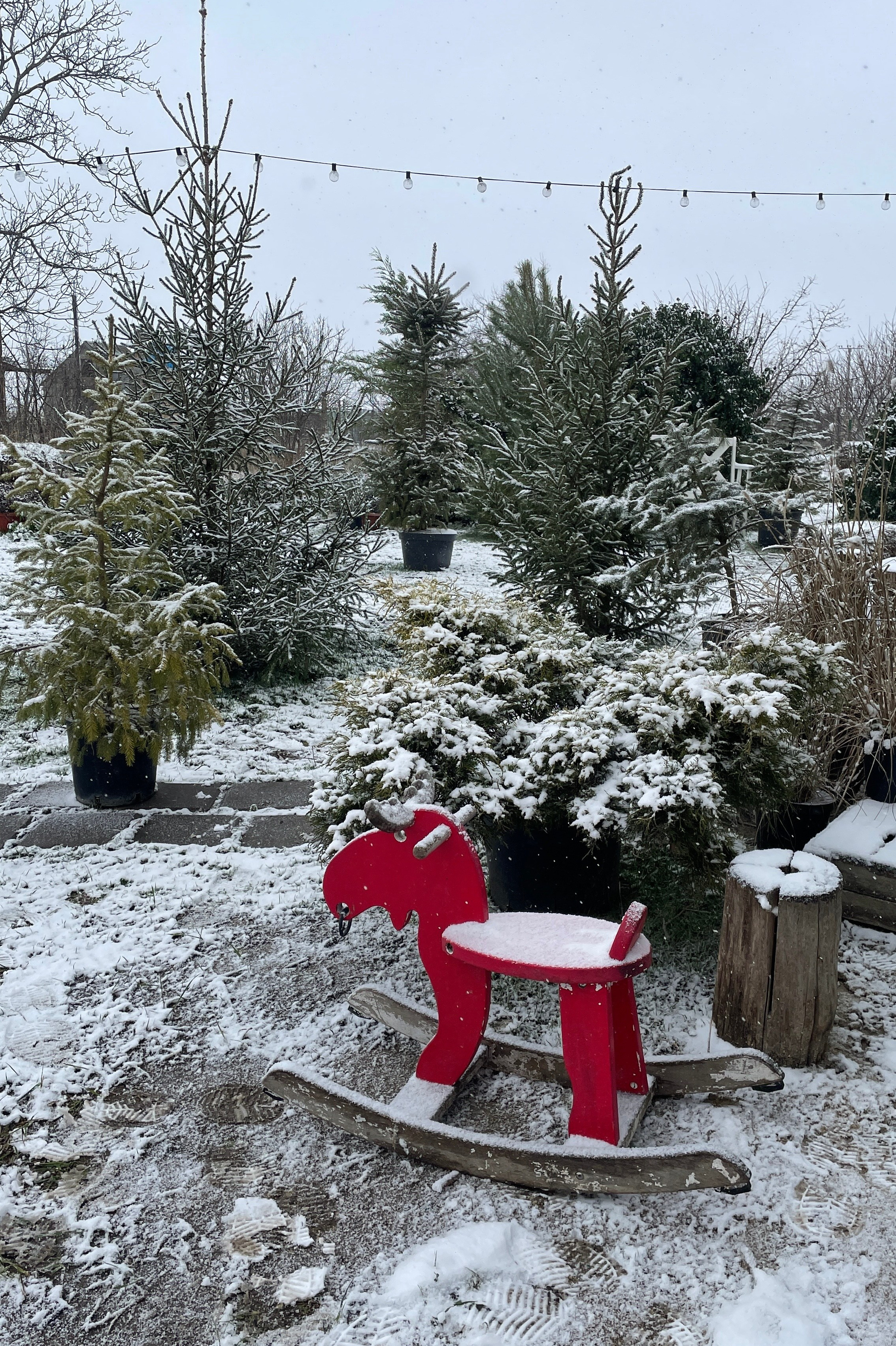 Фотостудия Натальи Забродской