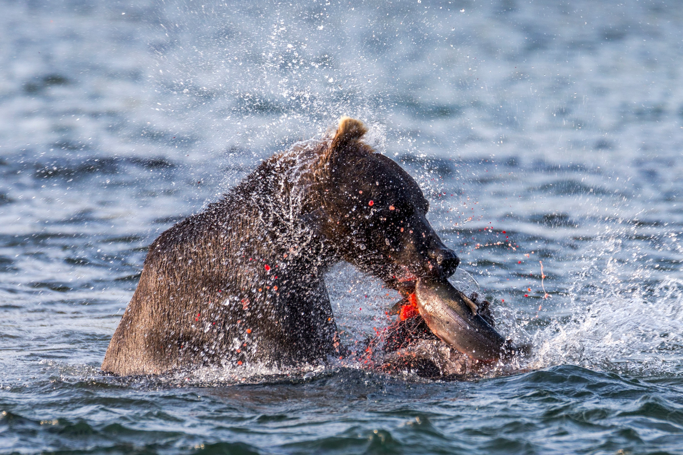 Научно-популярная Камчатка. Время Камчатки: чтобы найти свой путь, нужно скорость умножить на время